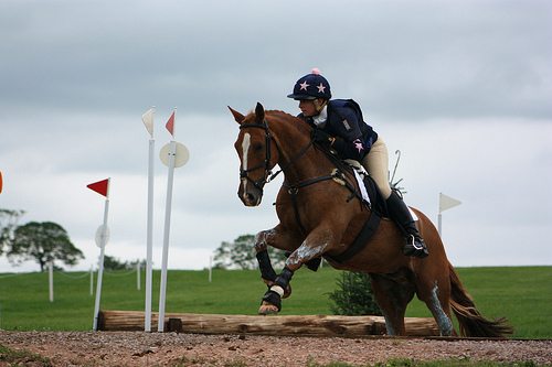 Stafford Horse Trials